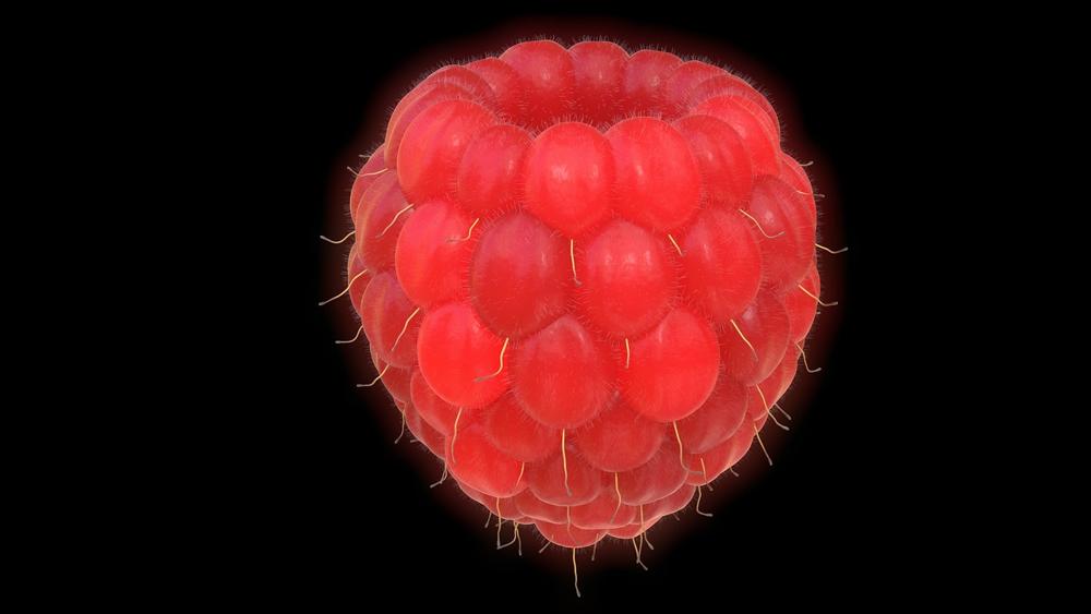 fresh raspberries