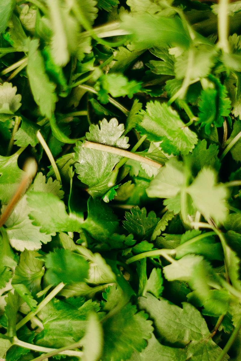 herb spices-a0d706d09af2457397343fae338f0a30.jpg herb spices