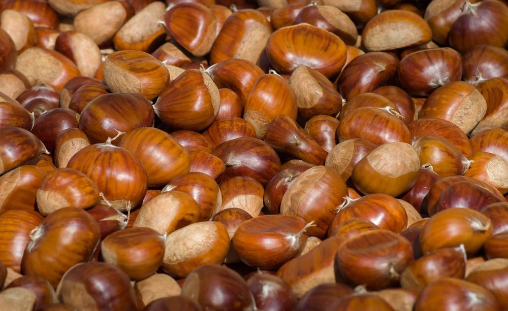 cooked chestnuts